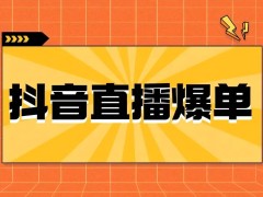 抖音直播間掛機器人軟件