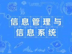 信息管理與信息系統專業