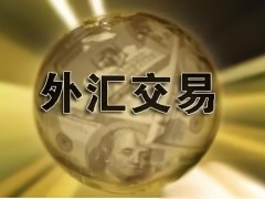 外匯財經網：探索全球金融市場的權威信息平臺