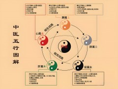 it軟件行業五行屬什么