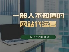 seo網站搜索排名外包推廣代運營公司