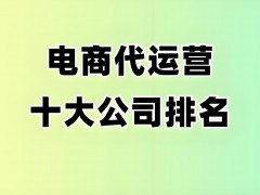 電商運營公司排名前十名