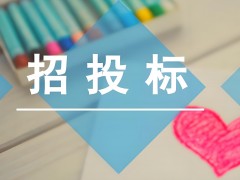 中標公示在哪里可以看到呢