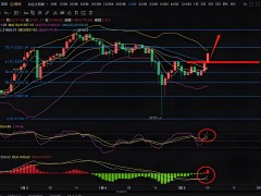 比特財經網：探索數字貨幣市場的權威信息平臺