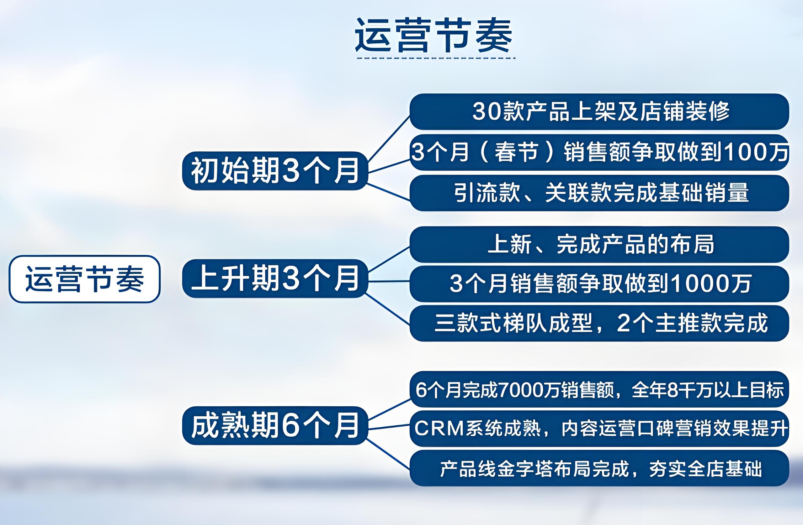 天貓入駐品牌運營計劃書怎么寫