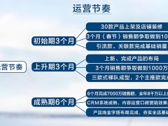 天貓入駐品牌運營計劃書怎么寫