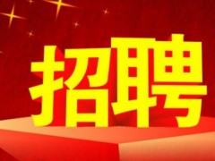 海南推出“互聯網＋”招聘模式 實現“365天x24小時”招聘