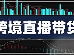 跨境電商直播：新時代的貿易模式