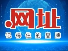 中文域名：中國企業品牌建設的數字基石