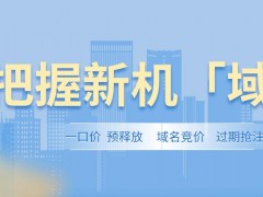 有名網將成為企業信賴的域名交易平臺