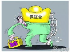 政府采購資源采購：創新與標準化之路