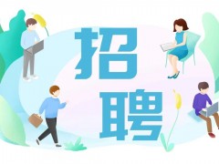 招聘網：開啟人才與機遇的精彩篇章