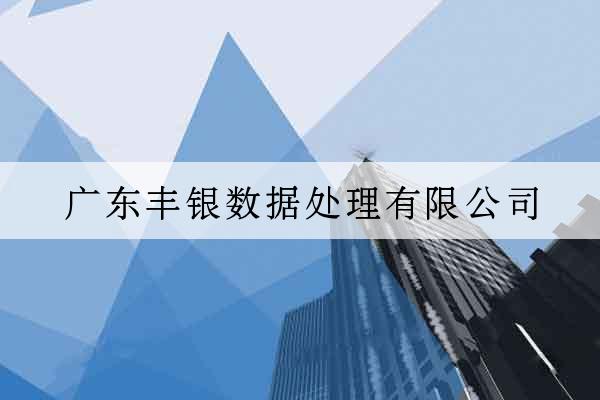 廣東豐銀數據處理有限公司