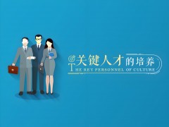 海投網：搭建人才與企業的卓越橋梁