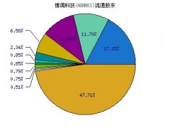 招標股份：市場波動中的探索與挑戰