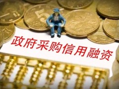 政府采購融資新模式：為中小企業注入活力