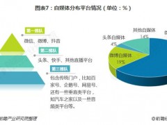 自媒體“表演式自律”：套路與破局