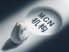 探秘 MCN 機構“大海星辰”：網紅制造機的崛起與爭議