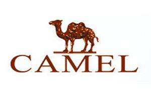 駱駝/CAMEL